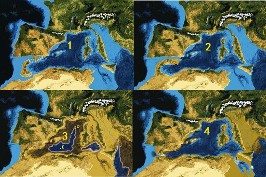 пŸɵкˮŸɺܷʲôǧ