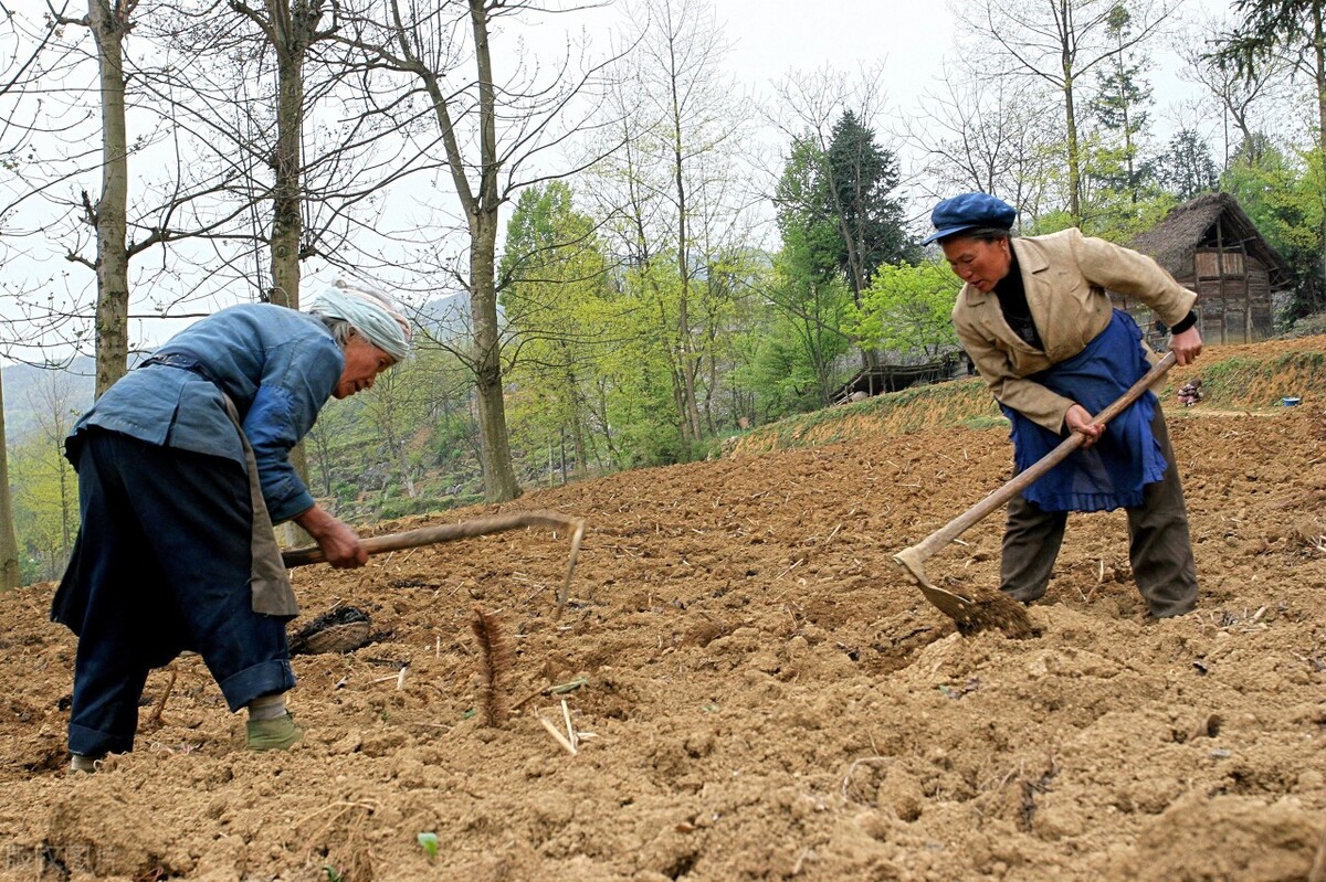 今日油价再调，化肥价格大涨！种地成本增加，官方发布好消息