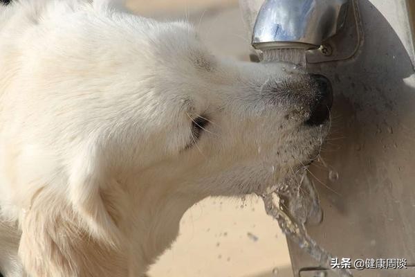 女子乳房出现肿块，医生手术取出3条活虫，都是这些坏习惯惹的