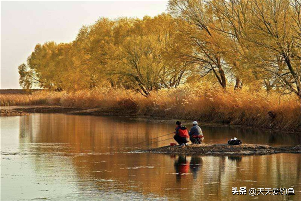 夏天什么风向适合钓鱼（夏天钓鱼什么风向好钓）-第2张图片-科灵网