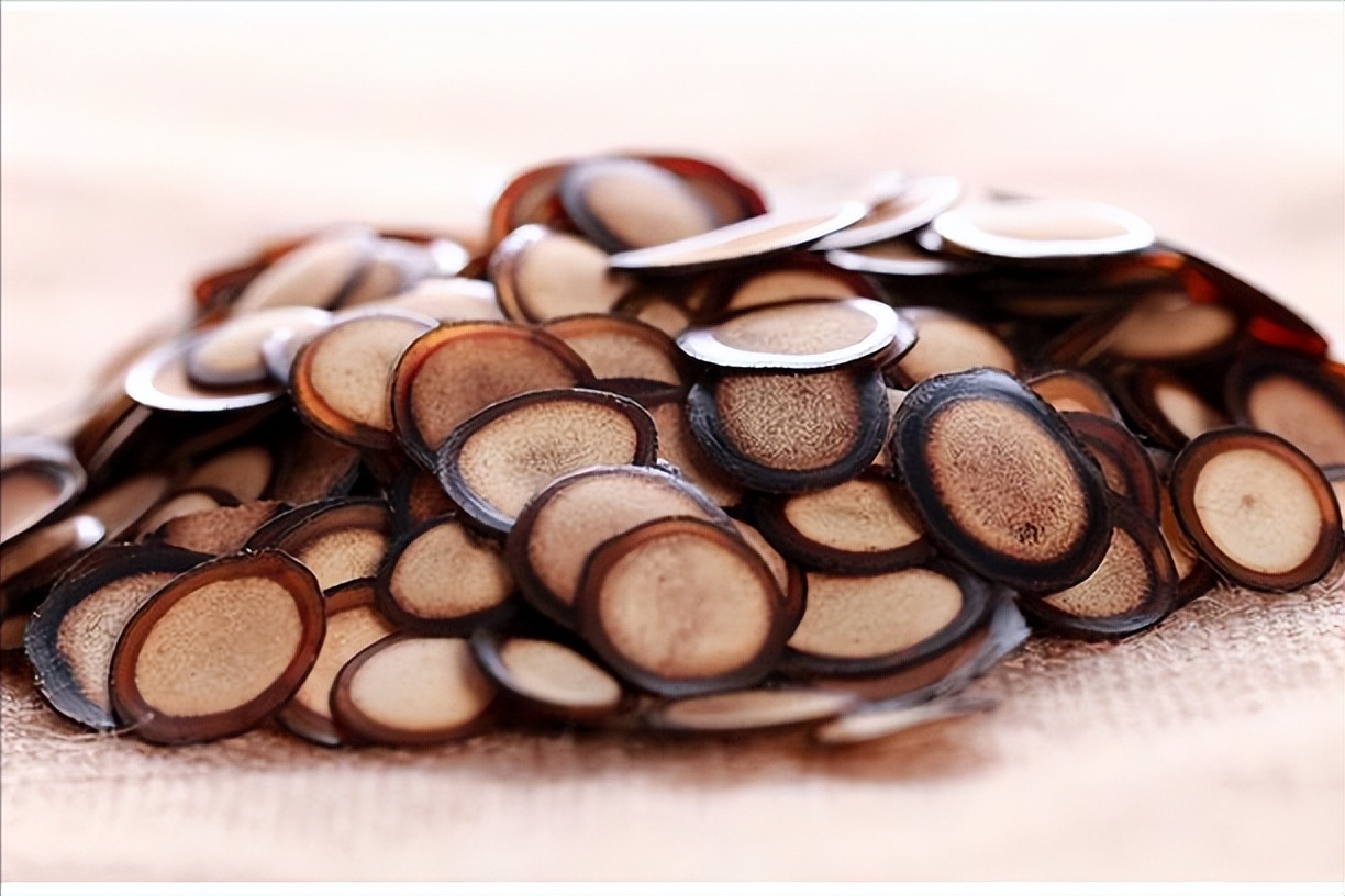 鹿茸批发多少钱一斤(比黄金还贵的鹿茸) - 价格百科