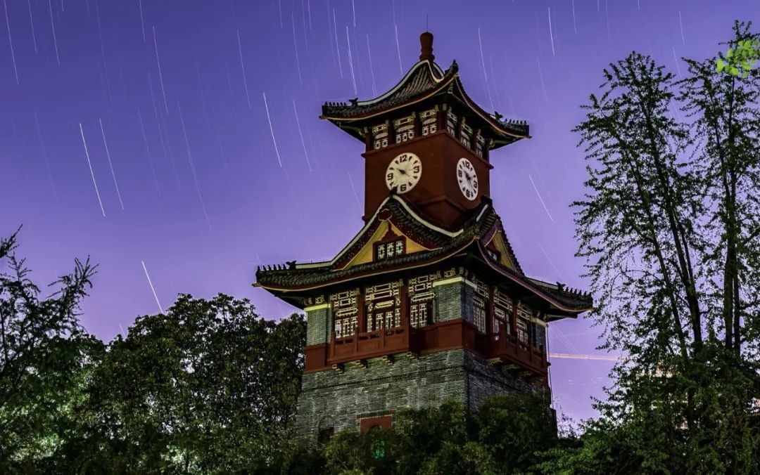 权威发布！四川大学2022年强基计划招生简章！