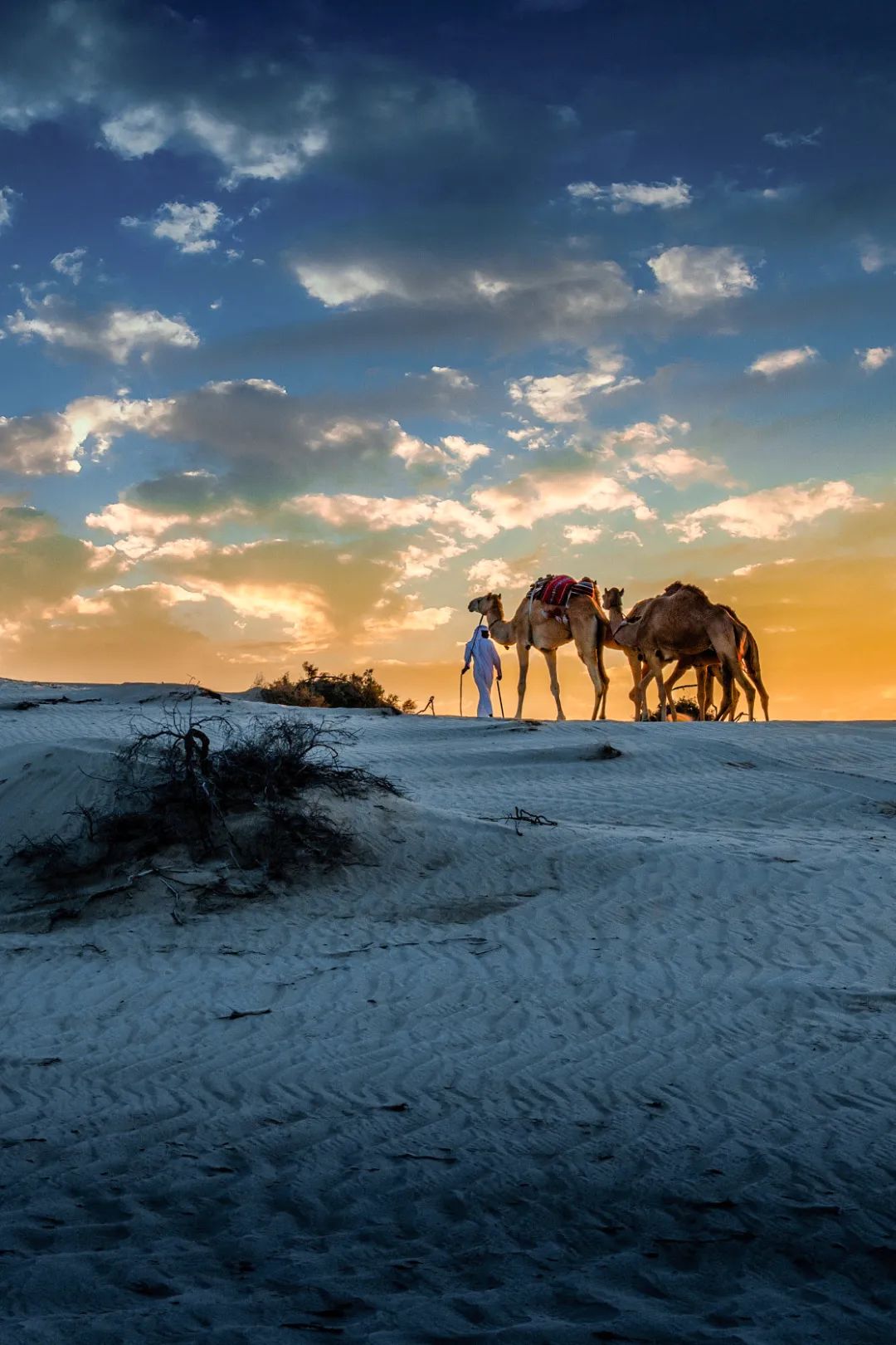 2022年足球世界杯在哪（都世界杯了，还不知道卡塔尔？）