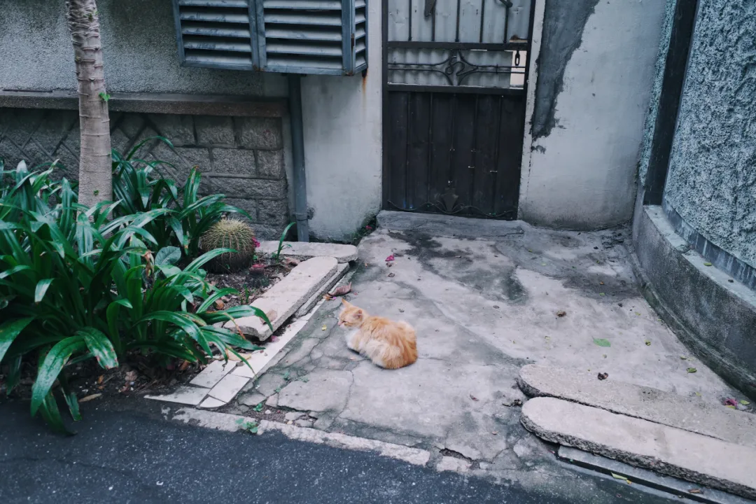 心中最佳的海滨旅行城市，必有它