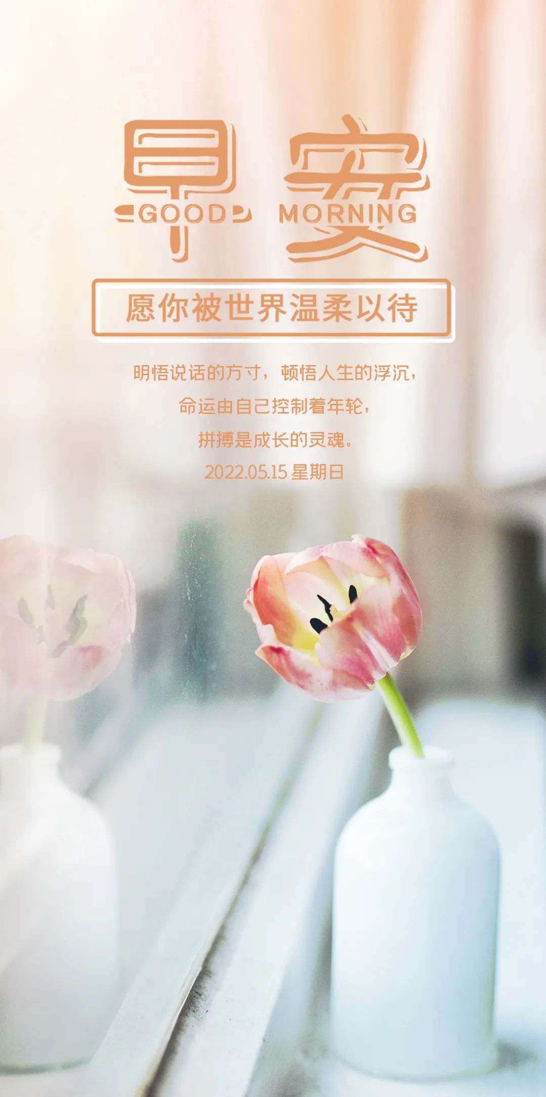 「2022.05.15」早安心语，正能量经典唯美语句，经典励志早安图文