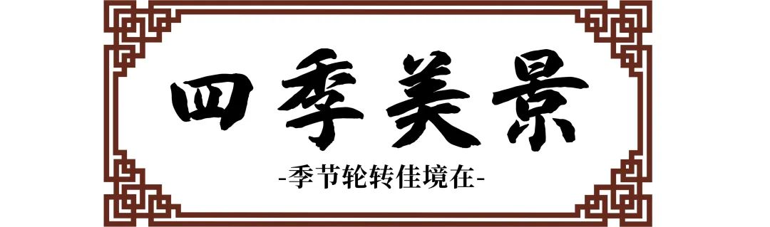 倒计时100天！河南农大120岁生日又近了