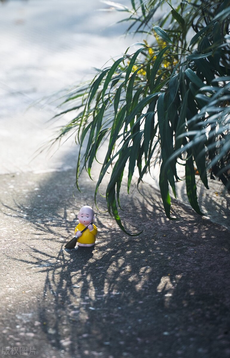 50张唯美禅意风景图片.高清淡雅意境壁纸,让人心静的自然美图