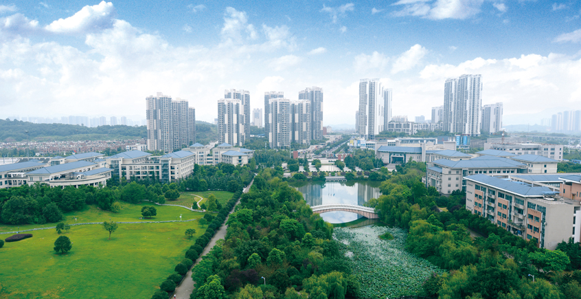 师范毕业生去哪儿就业？重庆师范大学54%的师范生，43.8%进教育业