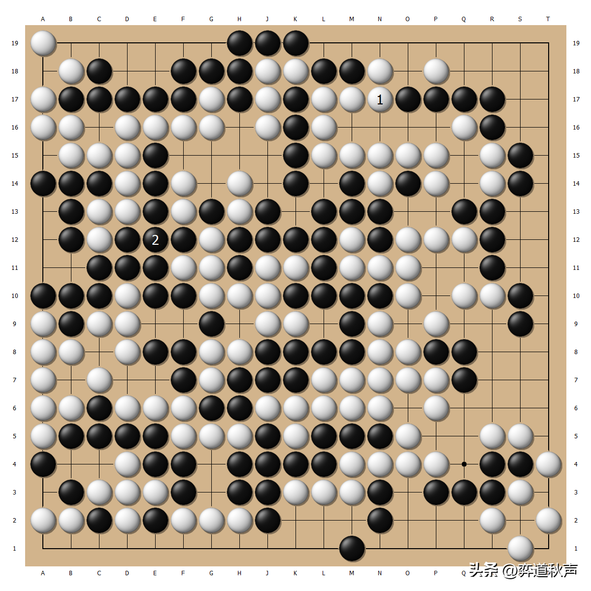 井山裕太(首次参加新赛制的棋圣战循环圈 井山裕太悬崖勒马保留挑战希望)