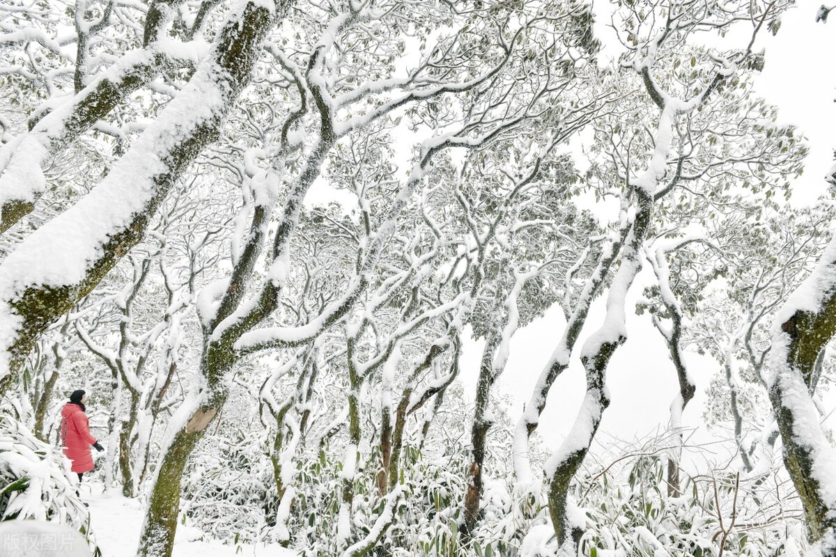 杭州哪里有滑雪場（無滑雪不冬天！浙江家門口的六大滑雪場推薦，滑雪愛好者必打卡）
