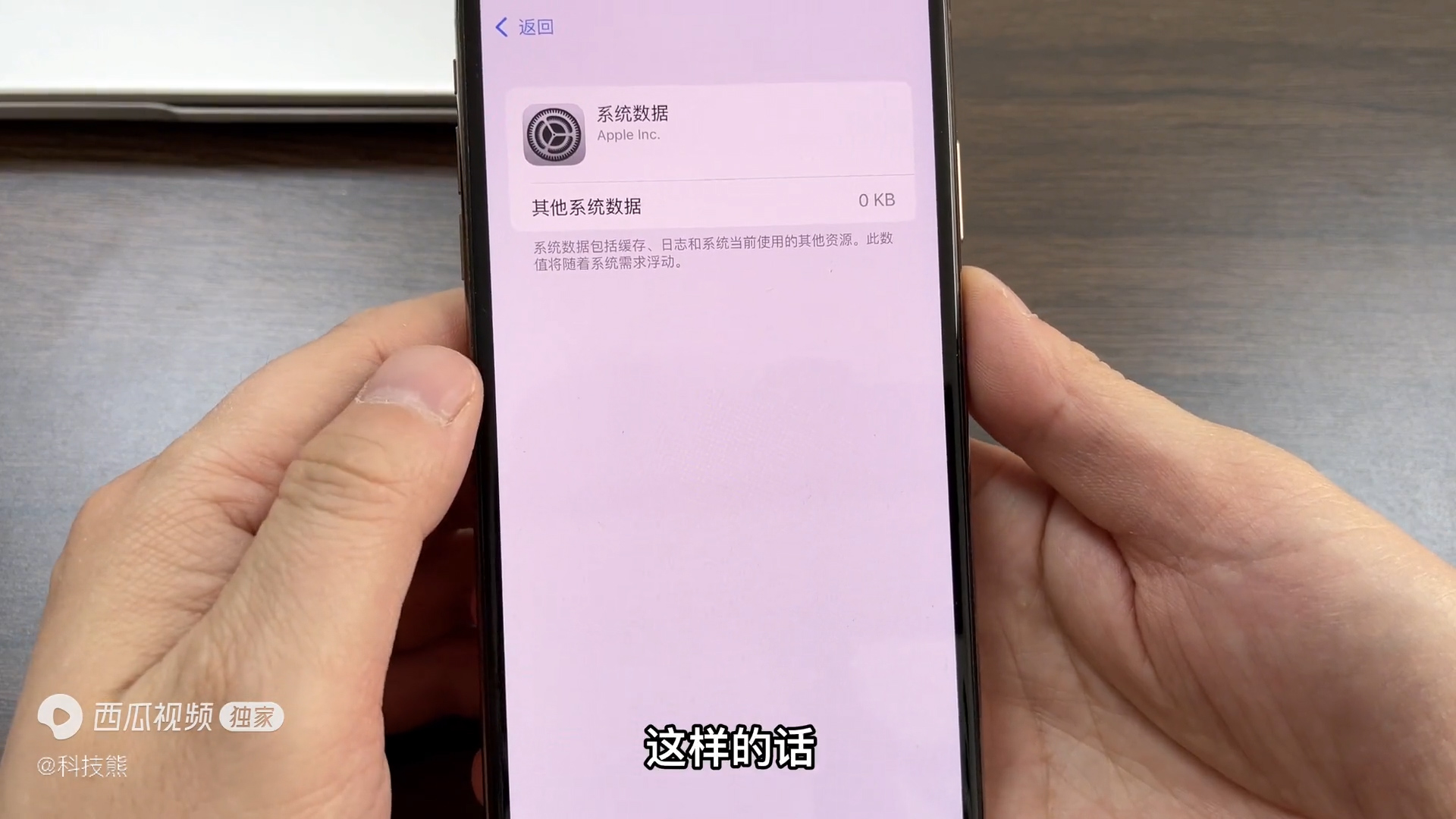 苹果手机垃圾怎么清理掉（苹果手机垃圾短信怎么屏蔽接收）-第6张图片-科灵网