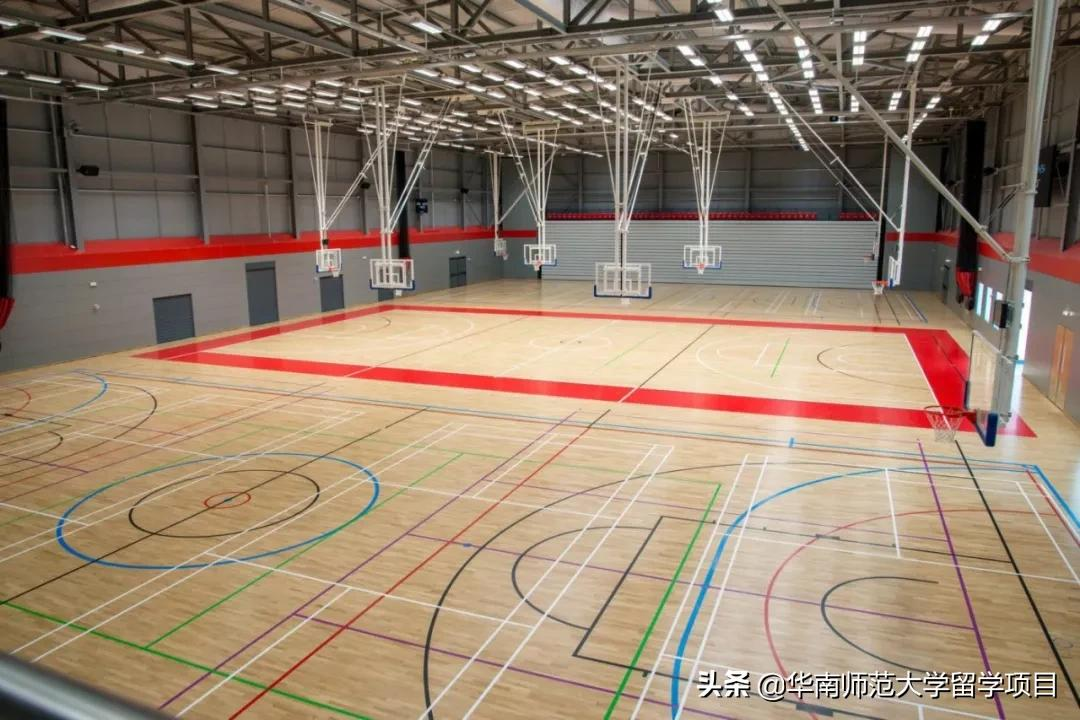 合作高校 | 为什么埃塞克斯大学被称为“小伦敦政经”？