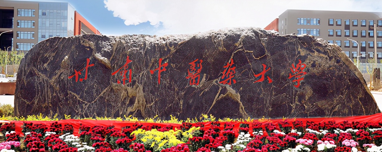 甘肃中医药大学在甘肃省和河南省录取成绩如何？