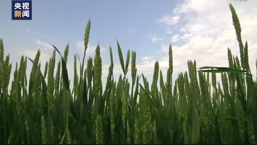 G7：俄乌冲突引发粮食能源危机 俄方：西方对俄制裁才是危机根源