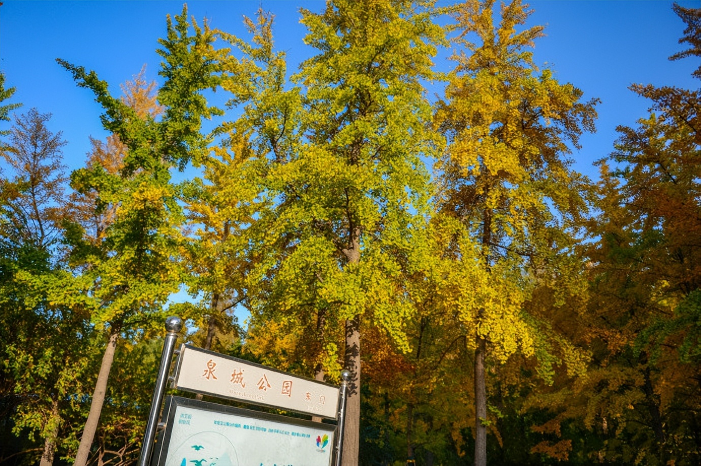 济南有哪些旅游景点（山东济南有哪些旅游景点）-第40张图片-科灵网