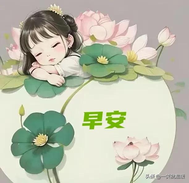 6月3日周六早安｜生活向阳，明媚多娇，健康幸福