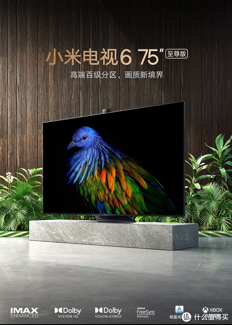 2022年初最全电视参数解析和各价位性价比机型推荐及热门机型点评