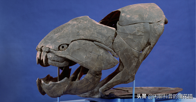 盘点史前海洋十大巨兽，从寒武纪走过始新世，每个时代顶级捕食者