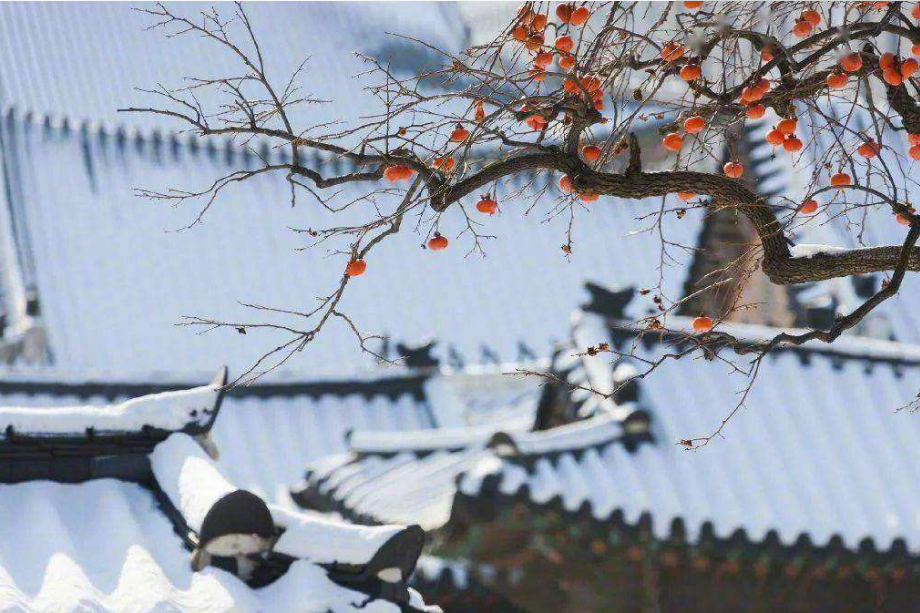 「原创诗词」管恩锋 | 祝万家和，千家乐，百家安（春节吟15首）