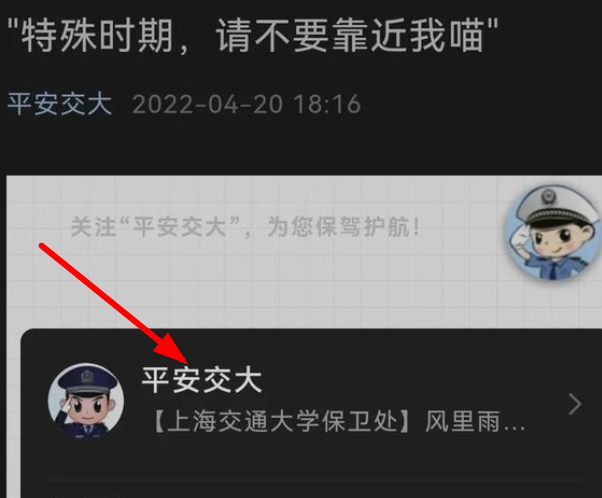 上海交通大学博士被处分，只因撸了流浪猫，校方表示是为学生好