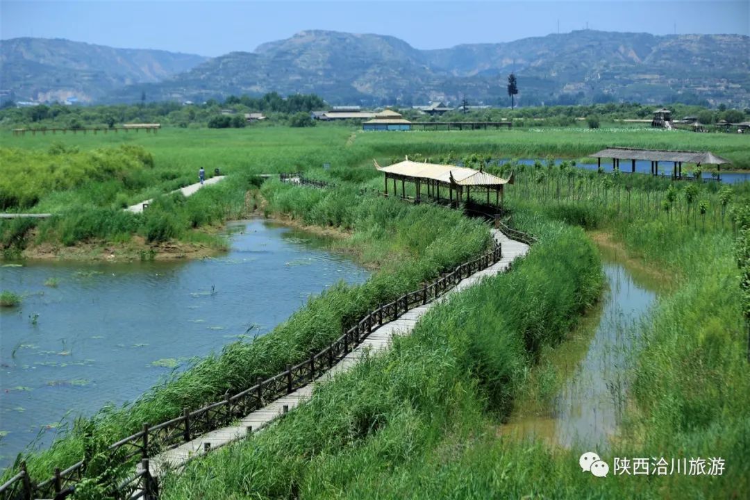 端午小長(zhǎng)假,，來洽川濕地體驗(yàn)?zāi)愕膼芤庵茫ǜ蕉宋绻?jié)優(yōu)惠活動(dòng)）