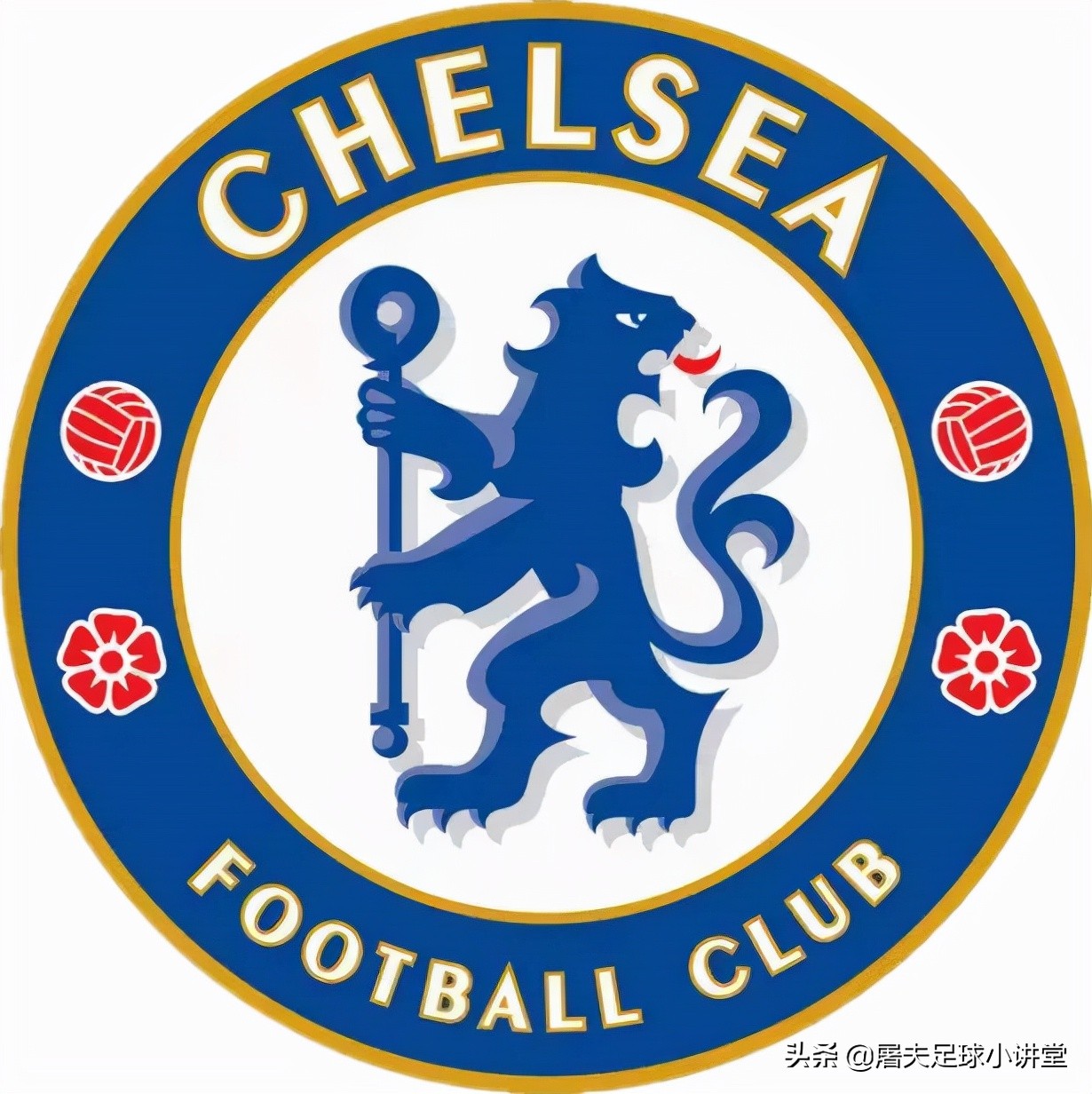 德甲联赛全部球队队标(年末大放送!盘点现在以狮子为队徽的足球队)
