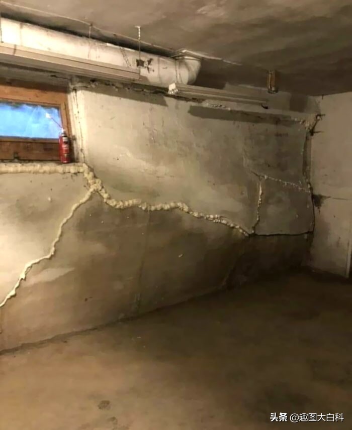 30个倒霉瞬间，装修房子的时候不要放出宠物，师傅在墙上画蟑螂