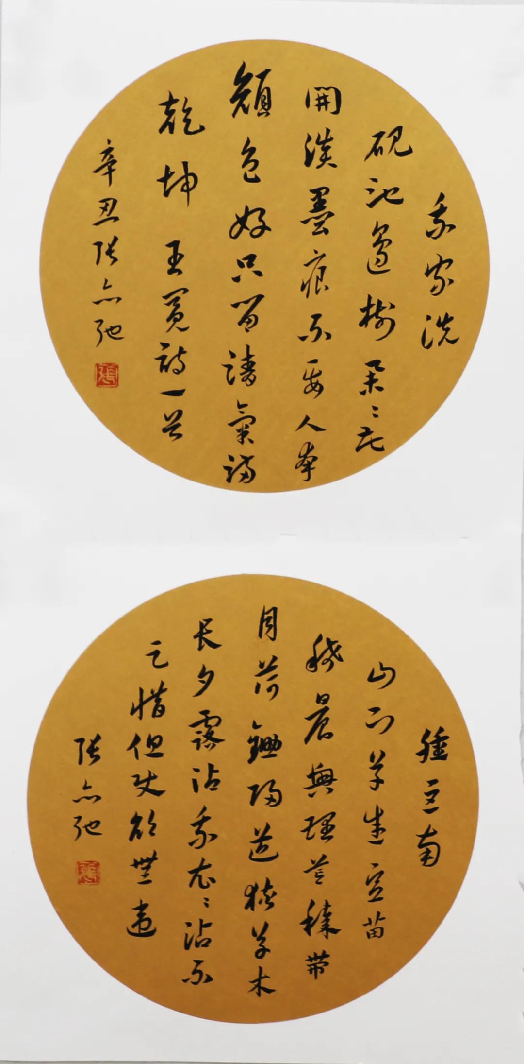 郑州大学书法学院2020级4班章草临摹结课展