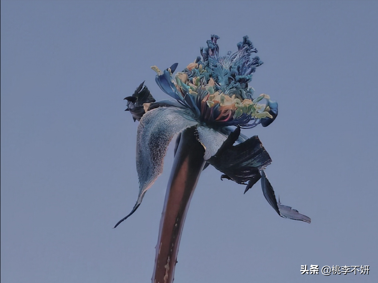 有些朋友圈，该屏蔽了