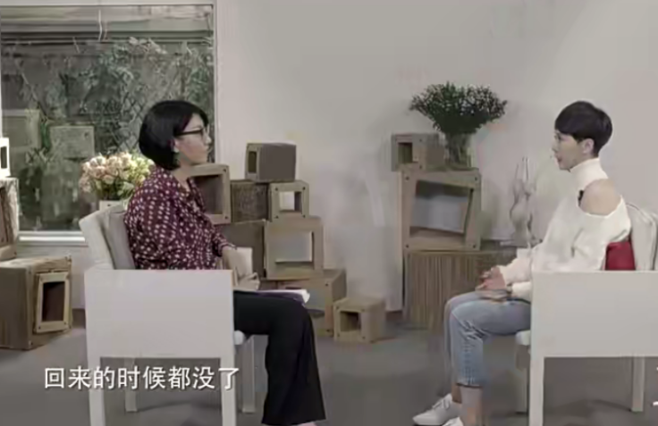 王涵的个人简历主持人(“人生赢家”海清：出身名门曾拥南京万平古宅，儿子成第二谷爱凌)