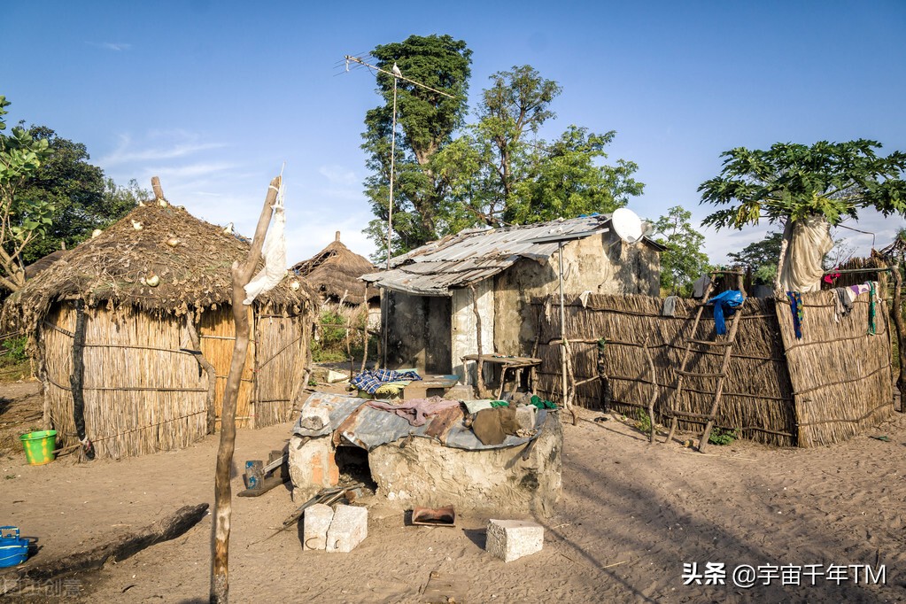 017 人类对生命与自然的探索，自古就没有停止过