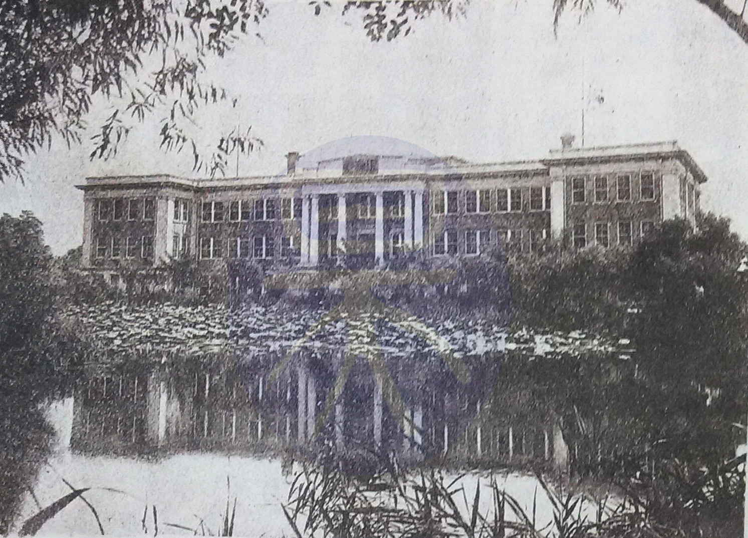 民国大学老照片：了不起，难怪出了那么多大师