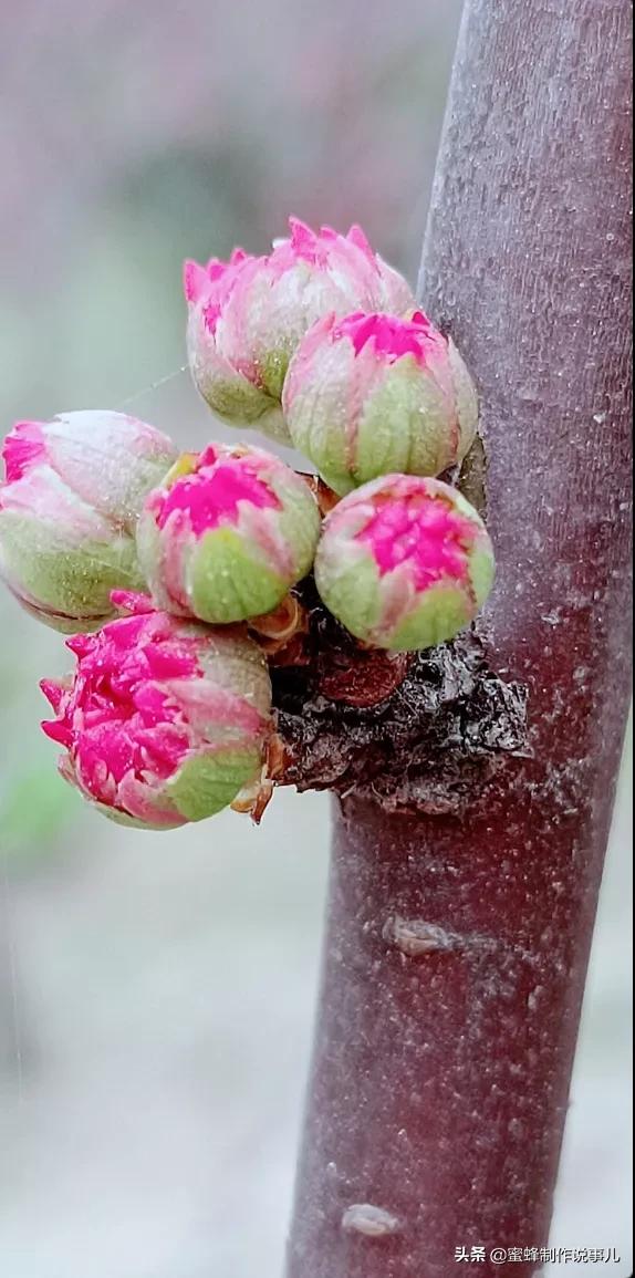 一路鲜花相伴，一路芬芳相随