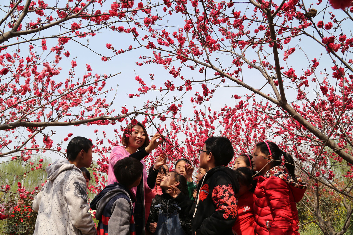 远足踏青师生俱欢颜，偷奸被捉张曹羞为师（小说连载）