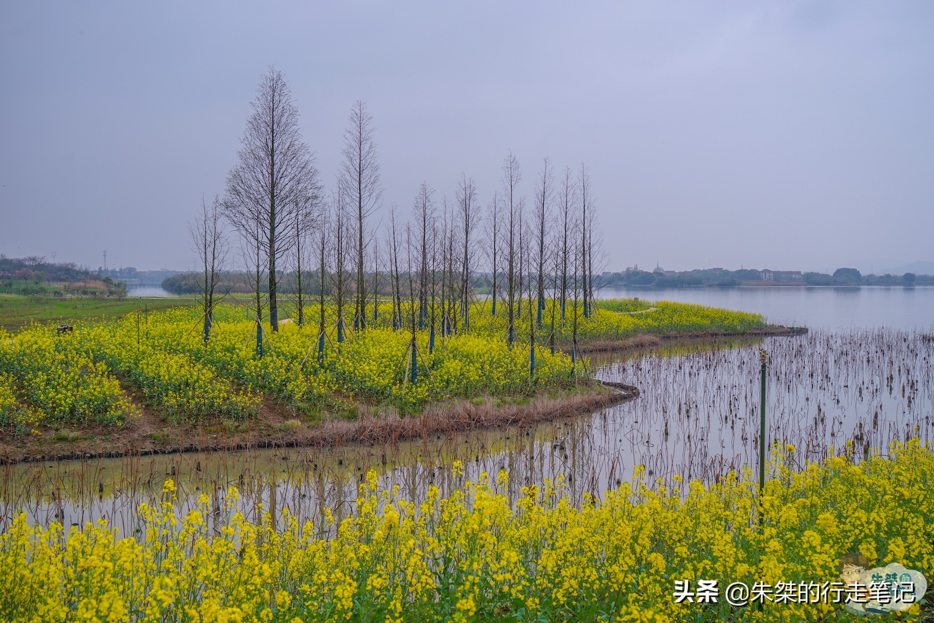 安徽最美的5处水景观赏地，景致不输杭州西湖，风光不输四川九寨