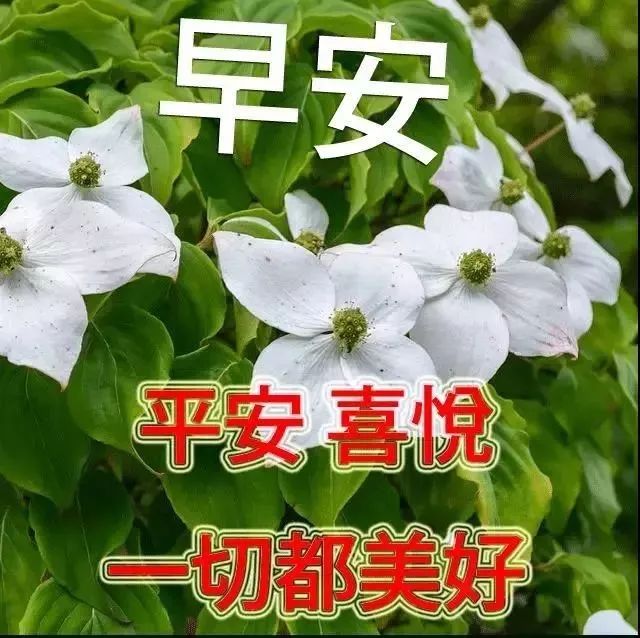 早晨发给朋友的温馨简短问候语，用感恩的心迎接新的一天开始