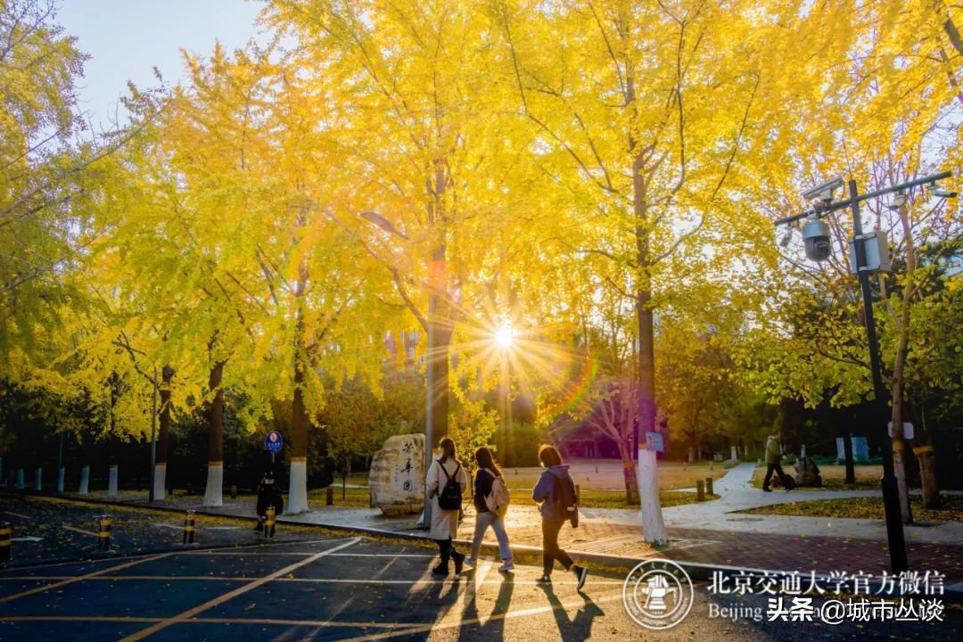 海淀区大学，北京昌平区大学有哪些