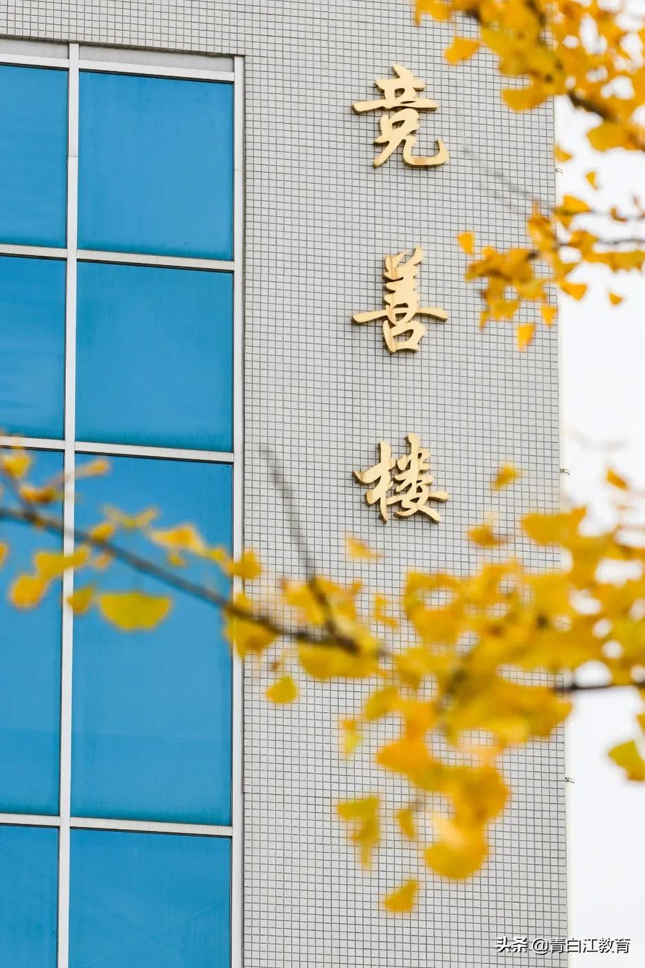 秋冬美图来袭① | 为你喜欢的校园美景投票吧