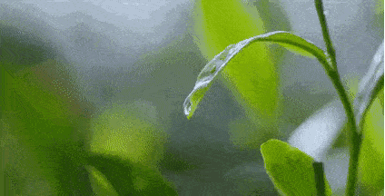 6则寓言，故事很短，道理很深，令人深思