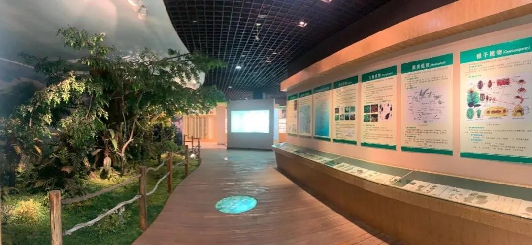 建筑面积820平米！湖北“超火”标本馆,上榜省级名单，可免费参观