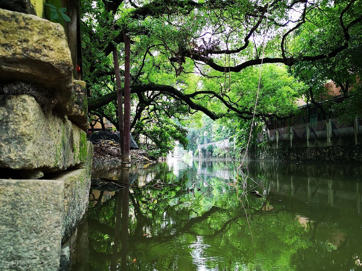 广州景区旅游景点排名前十（广州著名的八大景点）-第30张图片-科灵网