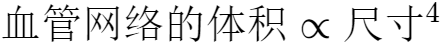 “标度律”——大自然的基本原理29