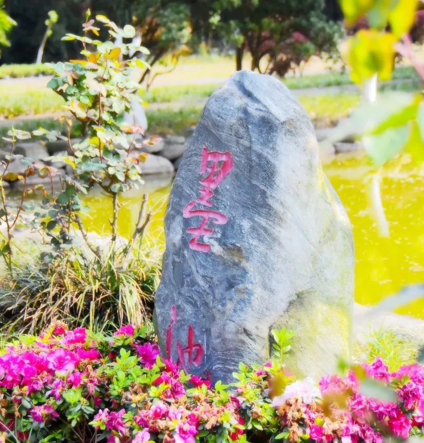 职等你来！优质教师团队，高品质学校，七中实验教师招聘不容错过