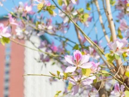 山东省部分高校开学日期确定，必备绿色健康码和行程卡