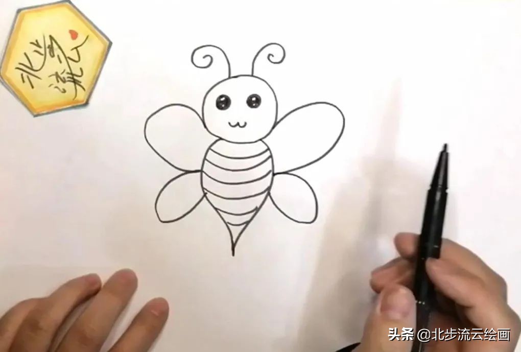 蜜蜂画法步骤图片