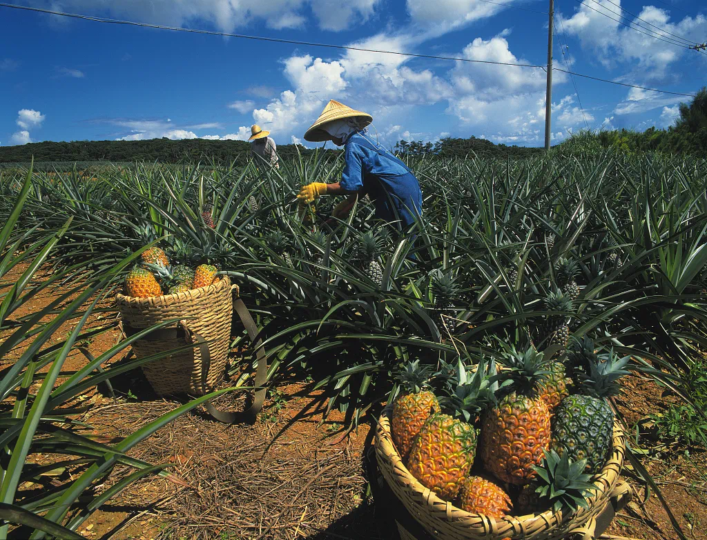 台湾相当于大陆哪个省 台湾中正大学相当于大陆-千百号