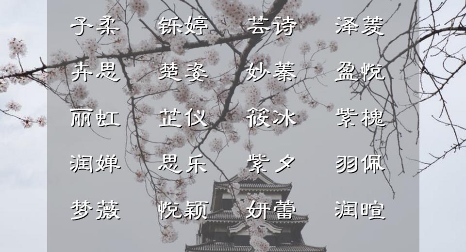 靓丽可人的女宝宝名字(靓丽可人的女宝宝名字大全)