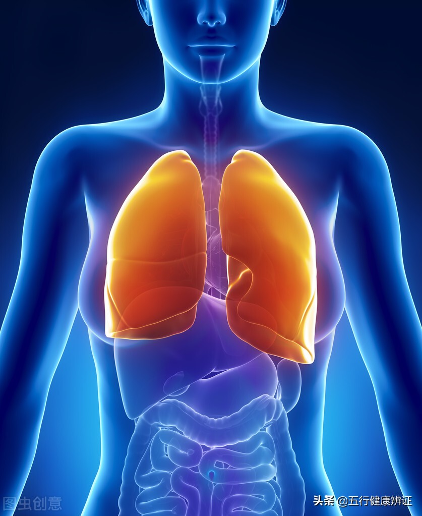 脾為生痰之源，肺為儲痰之器！ 脾虛生濕，為什麼要上犯於肺？