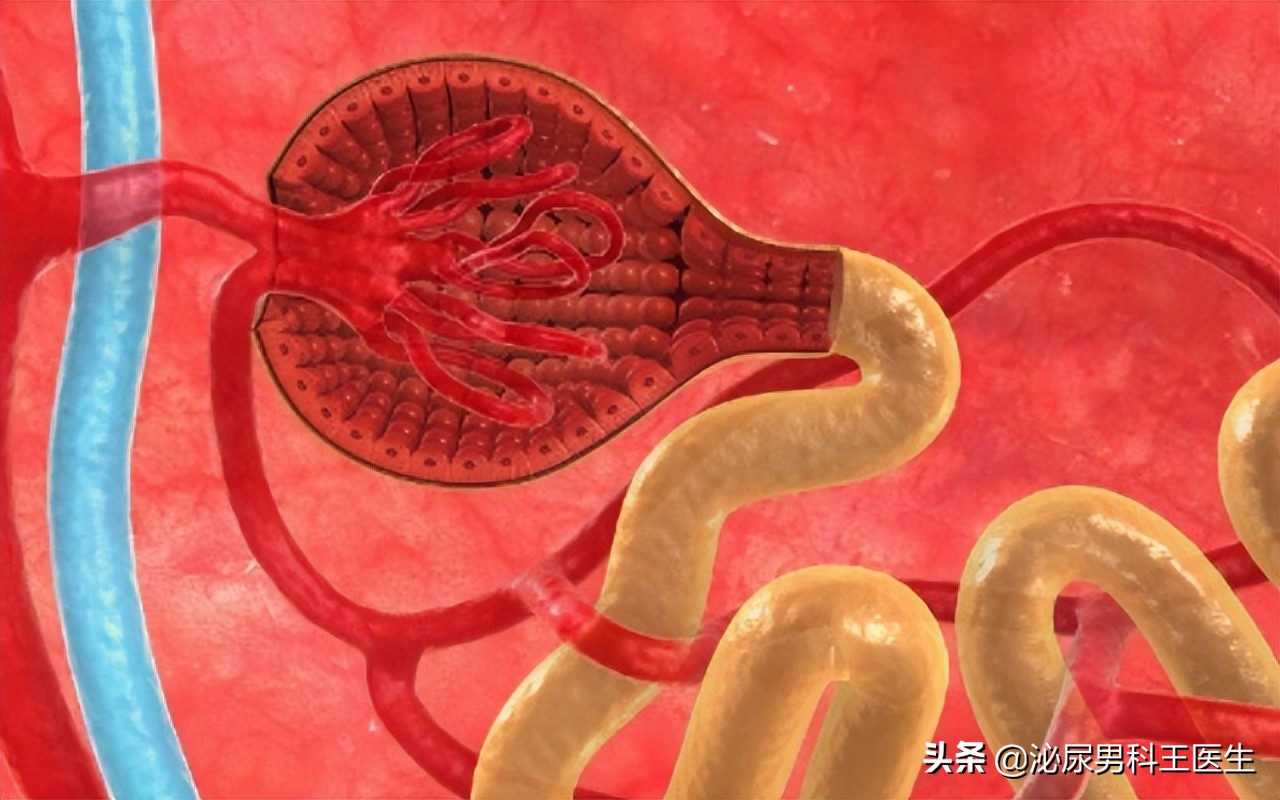 我国痛风高发，“祸根”是豆制品？其实这3种食物才是害人精