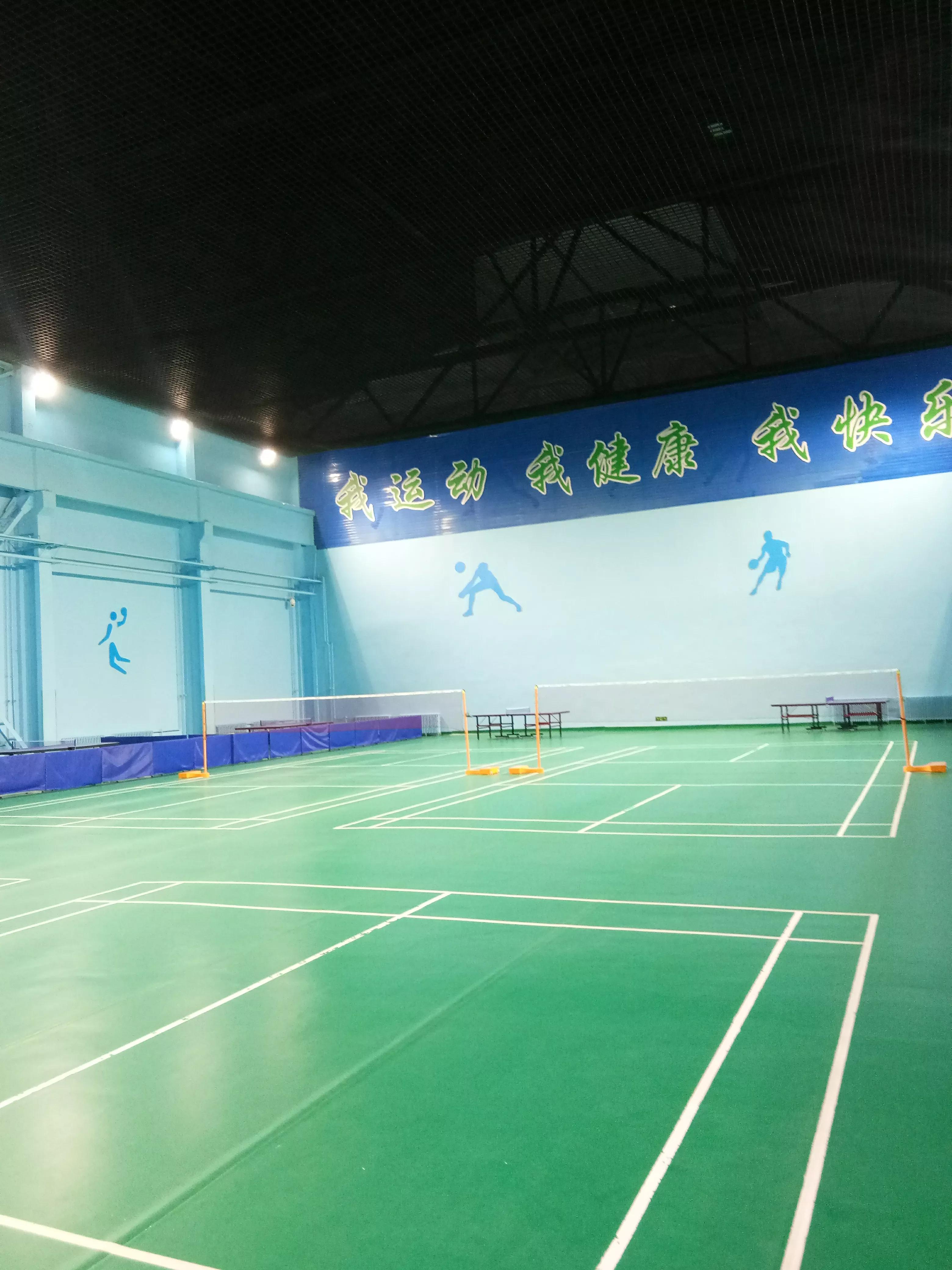 不会打羽毛球可以去羽毛球馆打吗「学打羽毛球」